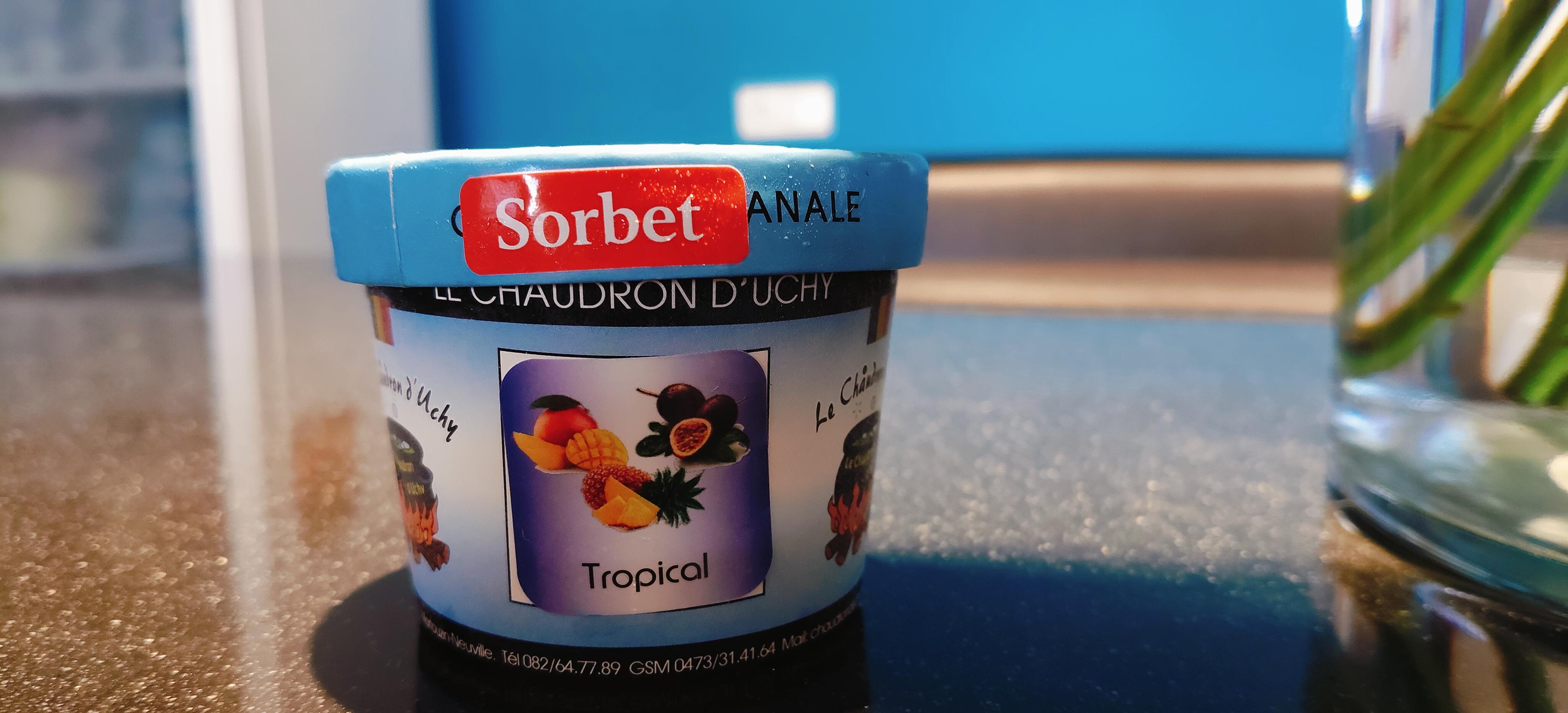 Sorbet fruit exotique 118ml